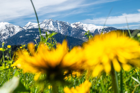 Frühling in Flims Laax, Hotel Bellevue